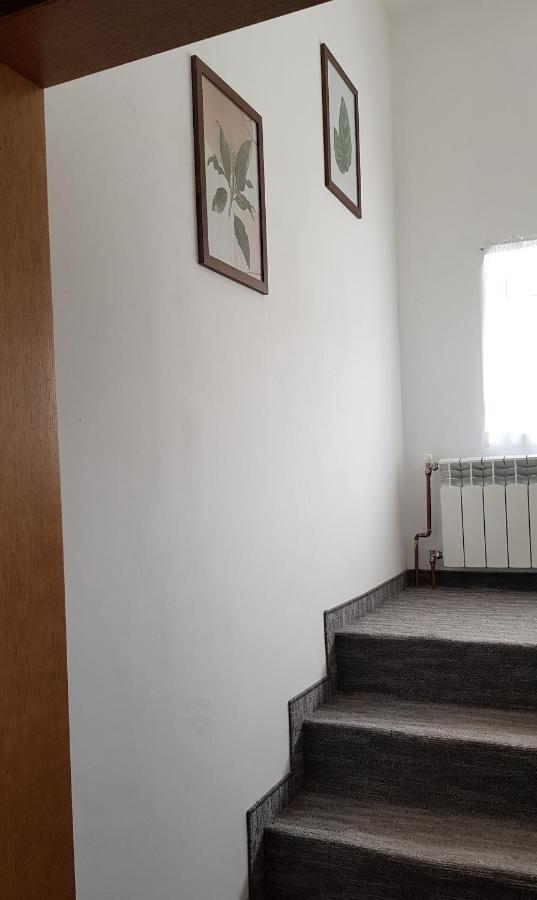 Apartament Tarnów-Mościce PRZY MOŚCIE Exterior foto